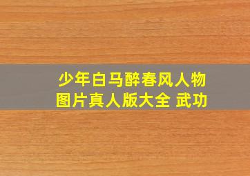 少年白马醉春风人物图片真人版大全 武功